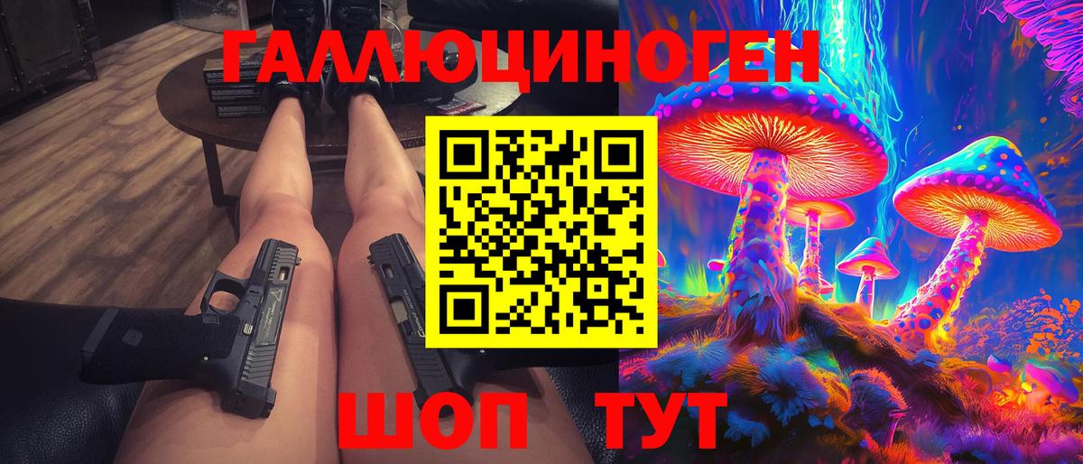 Псилоцибиновые грибы Psilocybine cubensis Новочеркасск