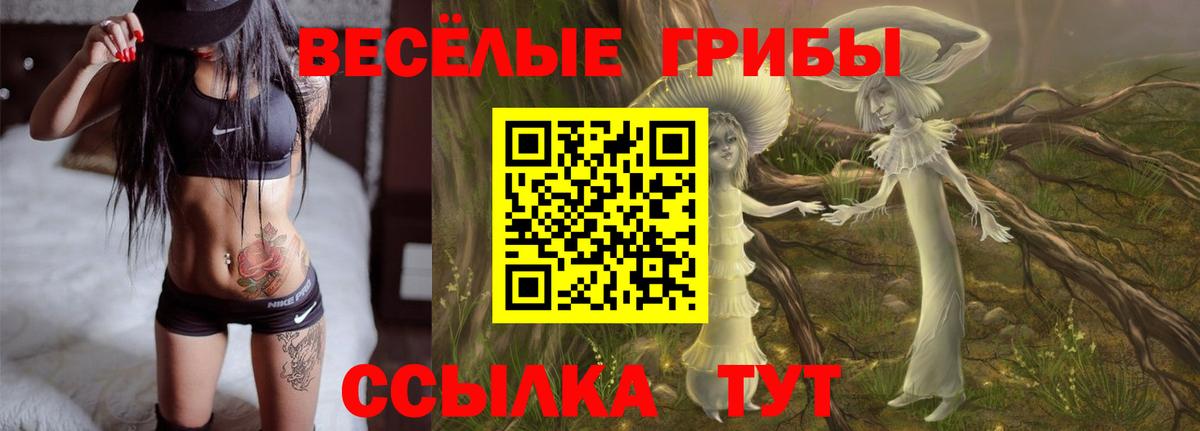 Новочеркасск  Псилоцибиновые грибы Psilocybine cubensis  Вход с VPN 